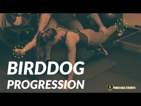 Bonus: Birddog Progression (McGill Big 3)