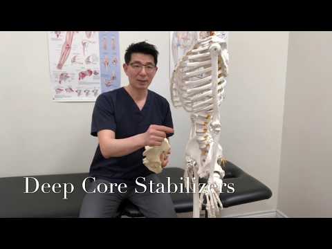Core Stabilization Exercises and McGill Big 3