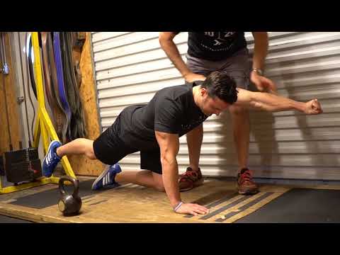 Layne Norton's Lifting Instruction from Stuart McGill & Brian Carroll – PART 3