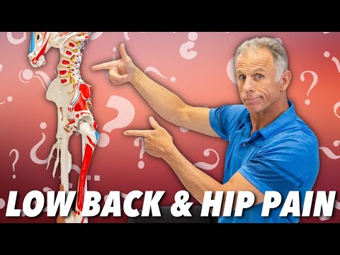 Low Back & Hip Pain? Is it Nerve, Muscle, or Joint? How to Tell.