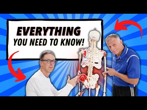 Low Back Pain Everything You Need To Know