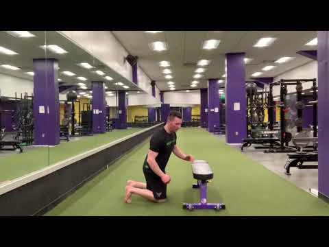 McGill Bench Stretch