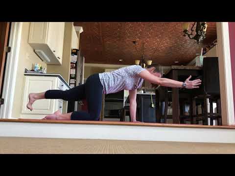 McGill Big 3 for spinal stability – Bird Dog with Alicia from KenTon PT