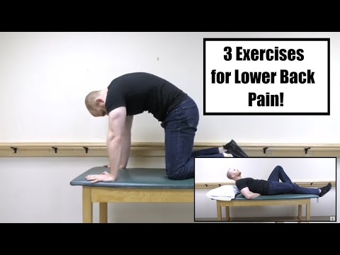 McGill Big 3 – Lower Back Pain Exercises