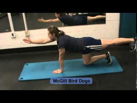 McGill Bird Dogs