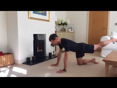 Move365 Episode 51, McGill big3 bird dog exercise.