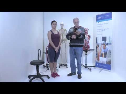 Pain Triggers, Self-diagnosis and Avoidance – Professor McGill