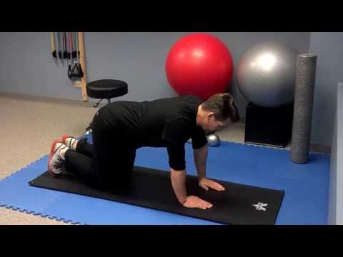 Spinal Mobility Exercise #4 – Cat/Camels