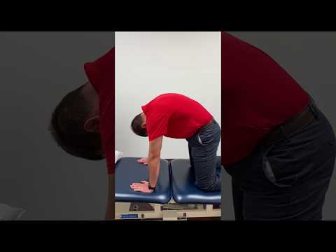 Spine flexion and extension in quadruped (cat/cow, cat/camel stretch)