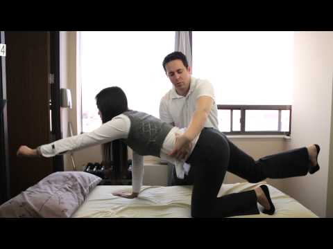 Stuart McGill Bird Dog Exercise Instruction. Active Health Minutes Episode 6